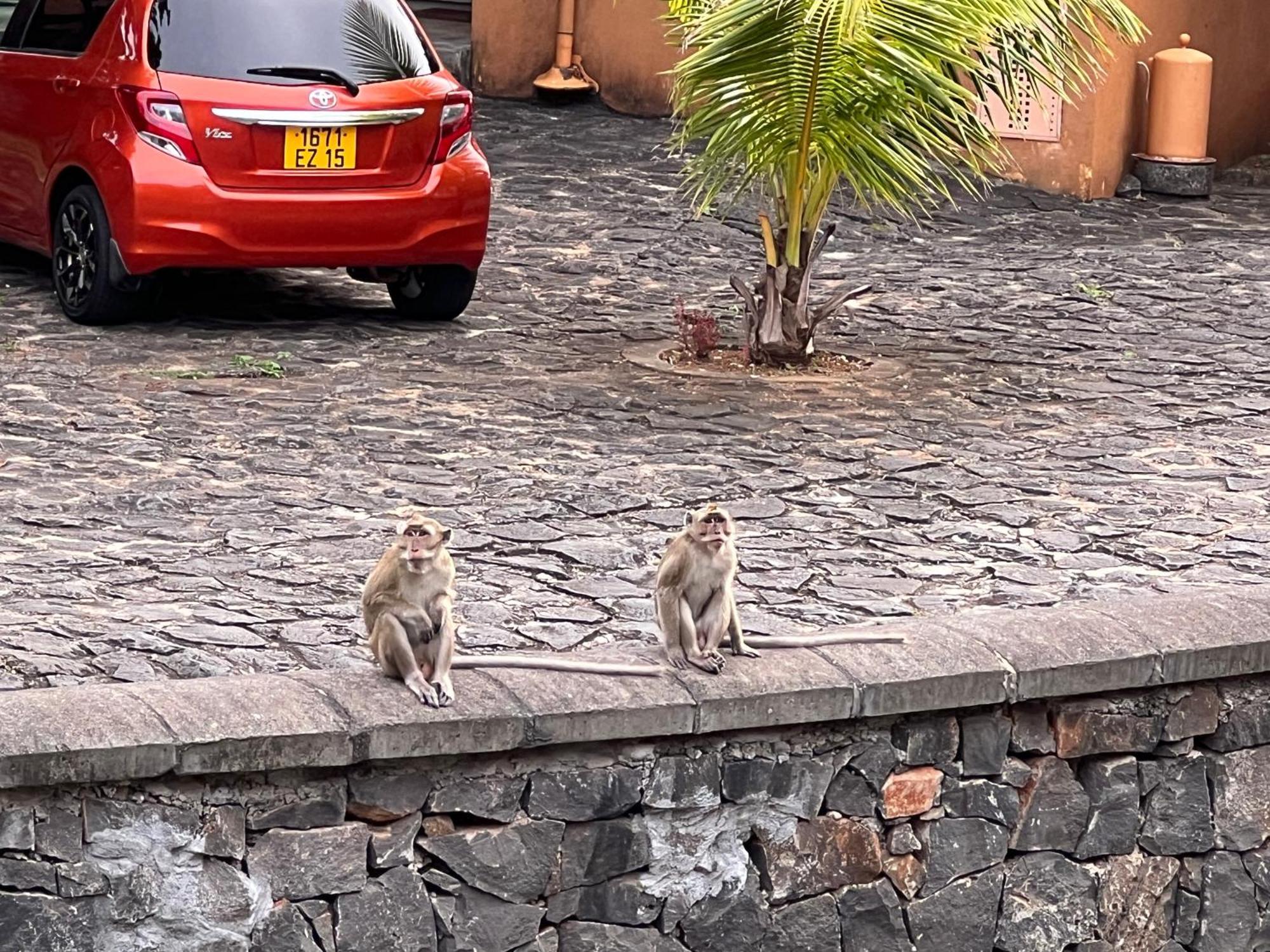 Villa In Port Chambly ,Mauritius Terre Rouge  Esterno foto